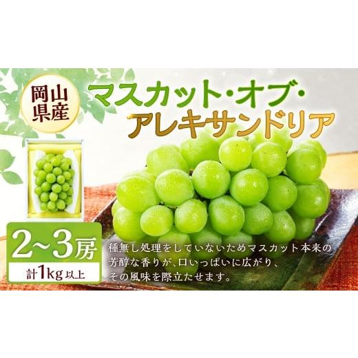 ふるさと納税 ぶどう マスカット 岡山県 美咲町 マスカット・オブ・アレキサンドリア 2〜3房 (合計1.0kg以上) 2026年8月下旬〜9月下旬 発送予定 マスカット …