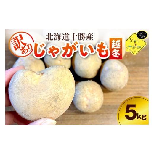 ふるさと納税 野菜類 じゃがいも 北海道 芽室町 2月上旬〜4月下旬頃配送 訳あり 北海道十勝芽室町 農家応援じゃがいも(越冬)5kg 北海こがね(変形)me001-05…