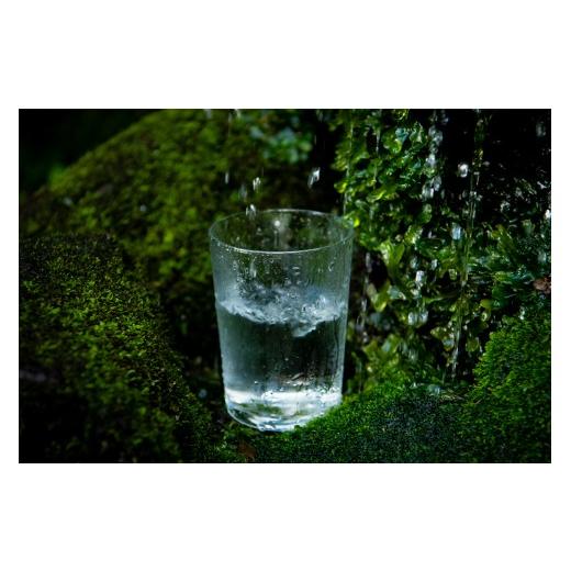 ふるさと納税 水・ミネラルウォーター 500mL〜999mL 宮崎県 小林市  定期便3回 のむシリカ 500ml×24本（ 国産 ナチュラルウォーター ミネラルウォーター 天然…_5