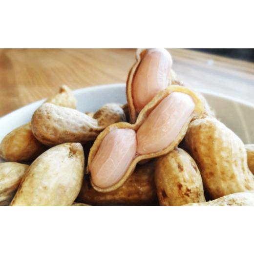 ふるさと納税 豆類 落花生 千葉県 旭市 おおまさり 約 2kg 千葉県産 ピーナッツ 落花生 ラッカセイ マメ 豆 ナッツ タンパク質 タンパク ミネラル 食物繊維 豆…