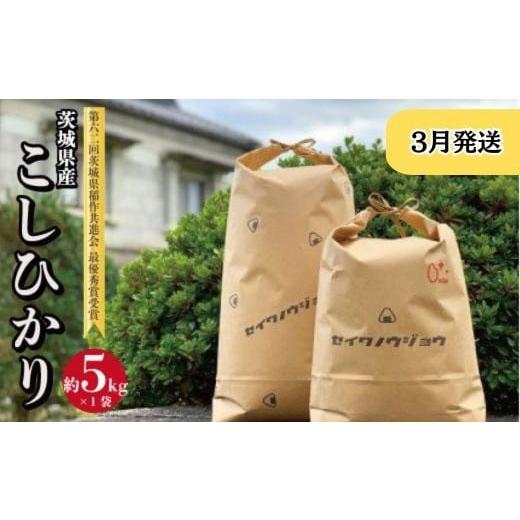 ふるさと納税 米 コシヒカリ 茨城県 高萩市 令和7年度 茨城県産 コシヒカリ 5kg(3月発送) 3月発送分