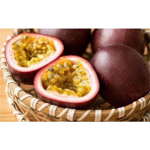 ふるさと納税 果物類 鹿児島県 瀬戸内町 2026年発送 先行受付 パッションフルーツ 化粧箱12個入り×2箱 計24個 武富農園 果物 くだもの 食品 パッションフル…