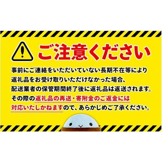 ふるさと納税 水・ミネラルウォーター 500mL〜999mL 鹿児島県 垂水市 I9-7902／ 6ヶ月定期 aichralis ( アイクラリス ) 900ml×12本の画像
