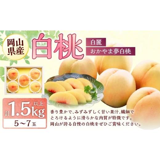 ふるさと納税 もも 岡山県 美咲町 桃 2026年 先行予約 岡山 白桃 (品種:おかやま夢白桃/白麗) 5〜7玉 合計1.5kg以上 2026年7月下旬〜8月上旬 発送予定 も…