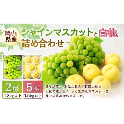ふるさと納税 果物の詰合せ 岡山県 美咲町 桃 ぶどう 2026年 先行予約 岡山 白桃 5玉と シャイン マスカット 2房 詰合せ 合計2.7kg以上 2026年7月上旬〜8月上…