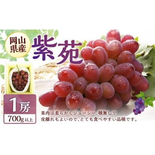 ふるさと納税 果物類 ぶどう 岡山県 美咲町 冬 ぶどう 2026年 先行予約 紫苑 1房 700g以上 2026年10月下旬〜11月下旬 発送予定 環山堂 岡山県 葡萄 ぶどう 果…