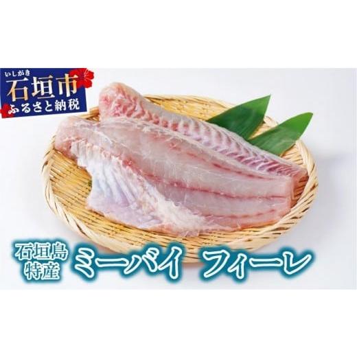 ふるさと納税 旬の鮮魚等 沖縄県 石垣市 石垣島特産ミーバイ(ヤイトハタ)フィーレ KS-14 フィーレ