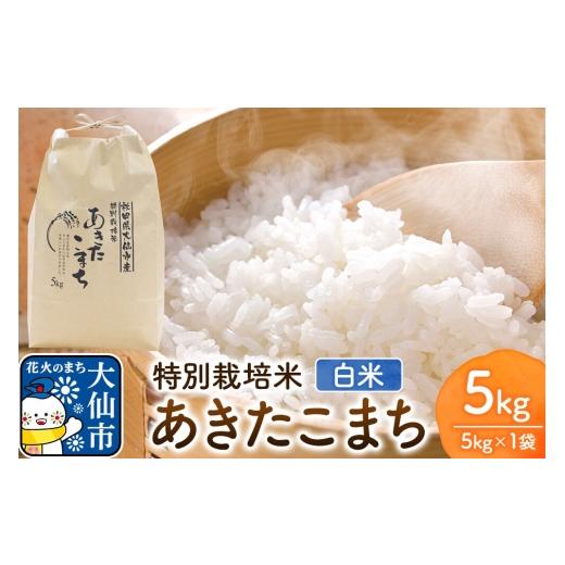 ふるさと納税 米 あきたこまち 秋田県 大仙市 米 特別栽培米 あきたこまち 精白米 5kg×1袋 ローズメイ 秋田県 大仙市産 こめ コメ 米 特別栽培米 白米 あきた…