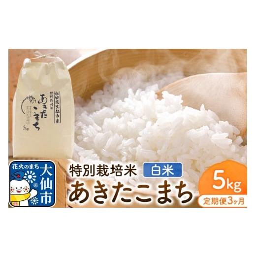 ふるさと納税 米 あきたこまち 秋田県 大仙市 [定期便3ヶ月]米 特別栽培米 あきたこまち 精白米 5kg(5kg×1袋)ローズメイ 秋田県 大仙市産 こめ コメ 米 …