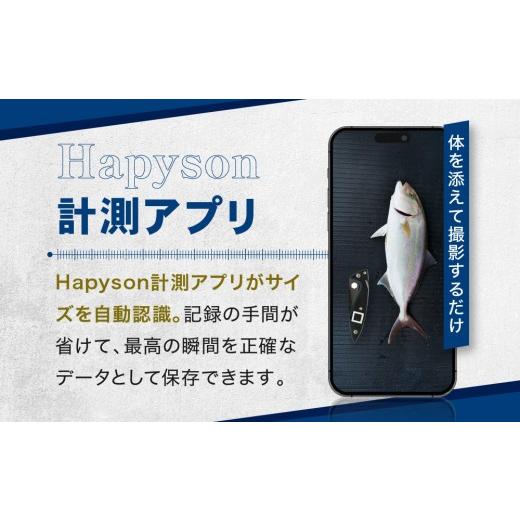 ふるさと納税 フィッシング 大阪府 門真市 津本式 計測 マルチ絞め具