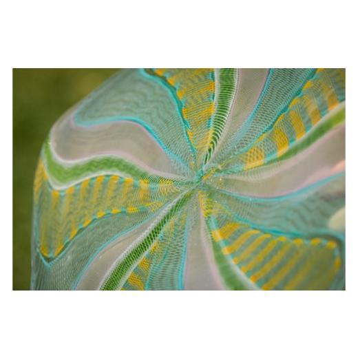 ふるさと納税 食器・グラス 大皿 沖縄県 読谷村  1点もの ケーンワークレースガラス大皿（Spring） starring okinawa canelaceglass Venetian Cane 読谷村 琉…の画像