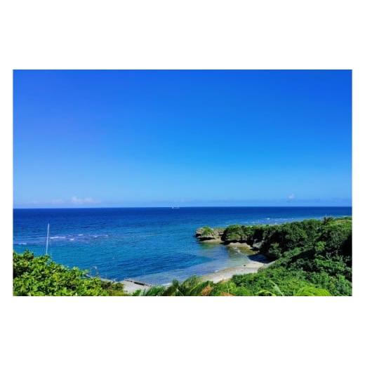 ふるさと納税 食器・グラス 大皿 沖縄県 読谷村  1点もの ケーンワークレースガラス大皿（Spring） starring okinawa canelaceglass Venetian Cane 読谷村 琉…の画像