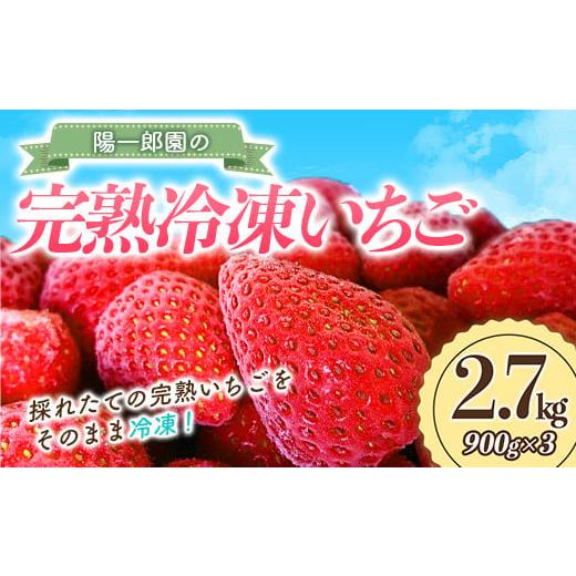 ふるさと納税 いちご 群馬県 渋川市 3月発送 陽一郎園の完熟冷凍いちご 2.7kg 令和4年群馬県いちご品評会銀賞受賞 F4H-0660 3月発送