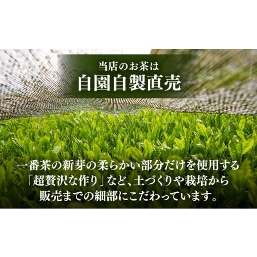 ふるさと納税 お茶類 緑茶（飲料） 熊本県 菊陽町 深蒸し茶 「極」「誉」 7本詰め セット 計700g ／ 深蒸し茶 ふかむし茶 超特蒸し お茶 超特むし茶 緑茶 銘茶…の画像