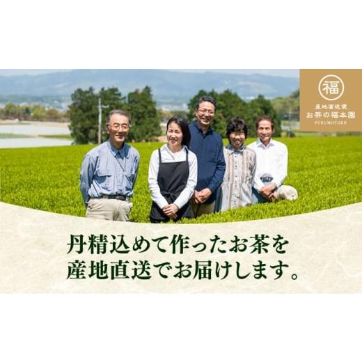 ふるさと納税 お茶類 緑茶（飲料） 熊本県 菊陽町 深蒸し茶 「極」「誉」 7本詰め セット 計700g ／ 深蒸し茶 ふかむし茶 超特蒸し お茶 超特むし茶 緑茶 銘茶…の画像