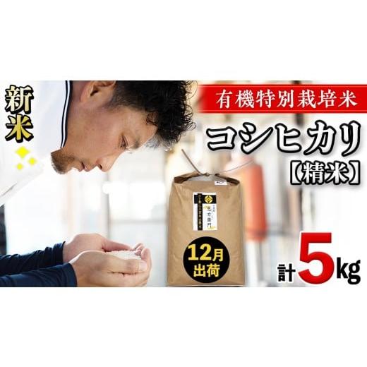 ふるさと納税 米 コシヒカリ 茨城県 つくばみらい市 令和7年産・新米 12月出荷 精米 5kg 三百年 続く農家 の 有機特別栽培米 コシヒカリ 有機栽培 農創 米 こ…