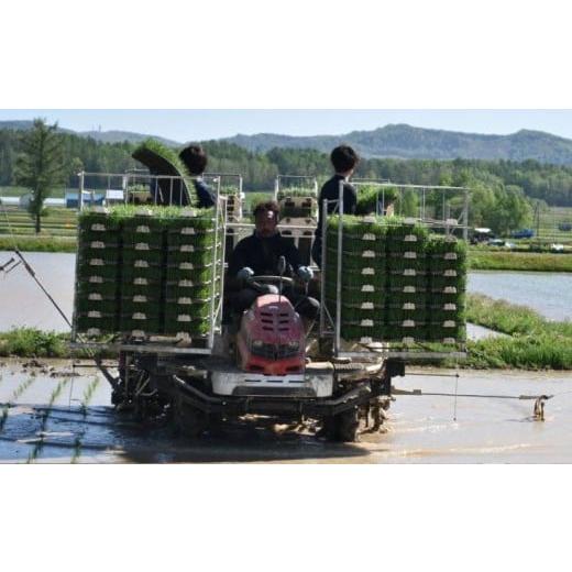 ふるさと納税 米 ゆめぴりか 北海道 鷹栖町 令和7年産 ゆめぴりか （無洗米） 10kg 北海道 鷹栖町 たかすのおむすび 米 コメ ご飯 無洗米 お米_5