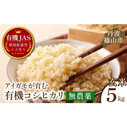 ふるさと納税 玄米 兵庫県 丹波篠山市 [令和8年産早期予約]有機JAS認証 アイガモが育む コシヒカリ 玄米 5kg|兵庫県 丹波篠山市産 玄米 米 コメ こめ こし…
