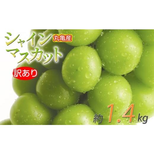 ふるさと納税 ぶどう マスカット 香川県 丸亀市 先行予約 訳あり シャインマスカット 約1.4kg 2-4房 種なし 皮ごと 冷蔵 配送 マスカット ぶどう 葡萄 ブドウ…