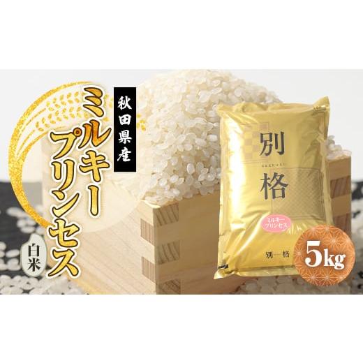 ふるさと納税 米 秋田県 大潟村 新米予約 令和7年産 ミルキープリンセス 白米 5kg 1666257