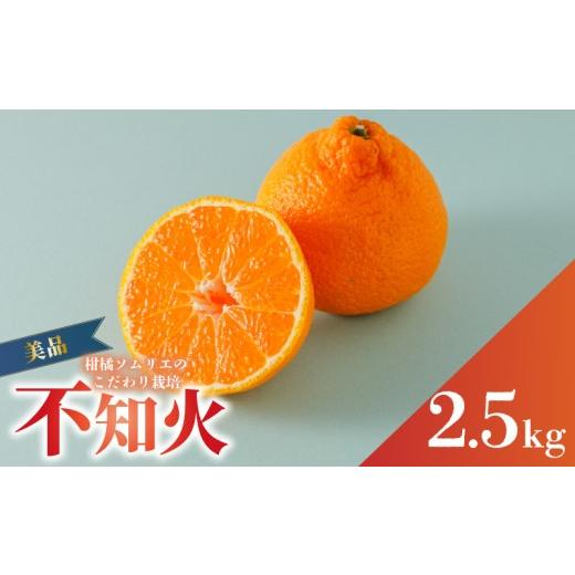 ふるさと納税 果物類 みかん 愛媛県 松山市 2027年3月上旬頃から順次発送 不知火(デコポンと同一品種) 美品 約 2.5kg | デコポン でこぽん と同品種 みかん …