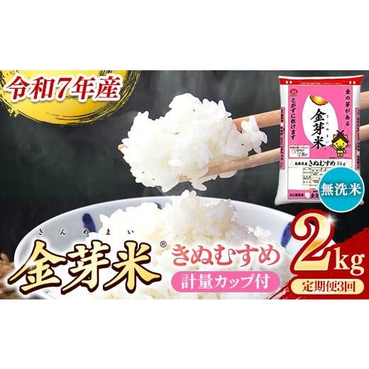 ふるさと納税 米 きぬむすめ 島根県 安来市 BG無洗米・金芽米きぬむすめ 2kg×3ヵ月 定期便 毎月 計量カップ付き 令和7年産 3ヶ月 計6kg 東洋ライス 健康 島根…
