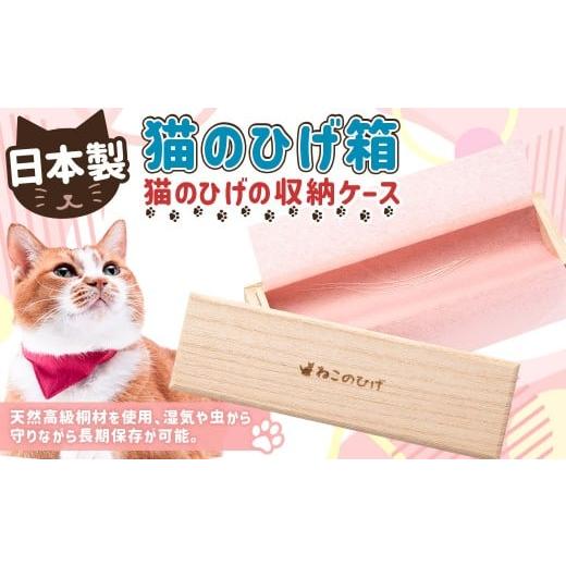 ふるさと納税 雑貨・日用品 茨城県 守谷市 ぽぽねこ 猫のひげ箱(猫のひげの収納ケース・日本製)「共通返礼品」 | ひげ ヒゲ 中紙付き 桐材 ペット ペット用…
