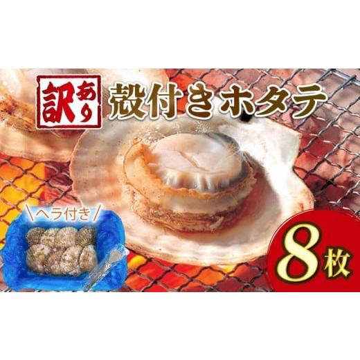 ふるさと納税 魚貝類 ホタテ 岩手県 大船渡市 訳あり 三陸産 殻付きホタテ 8枚 冷凍 ほたて BBQ バーベキュー カンカン焼き バター焼き ボイル 蒸し 簡単 海鮮…