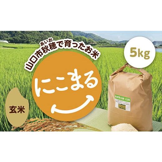 ふるさと納税 玄米 山口県 山口市 D418 あいお(秋穂)で育ったお米 にこまる 玄米 5kg