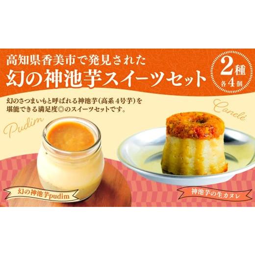 ふるさと納税 菓子 詰合せ 高知県 香美市 高知県香美市で発見された幻の神池芋スイーツセット プヂン4個&生カヌレ4個 (計8個) プリン カヌレ スイーツ さつ…