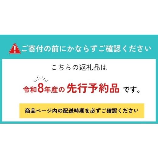 ふるさと納税 野菜類 山菜 岐阜県 飛騨市 春の恵み 山菜セット4品 （約400g〜500g） 旬もの 季節品 産地直送 行者にんにく コシアブラ こごみ タラの芽 山うど…の画像