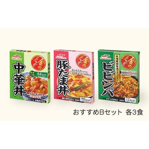 ふるさと納税 加工品等 レトルト 山形県 村山市 マルハニチロ 金のどんぶり レトルト おすすめセットB 計9個 ku-rtxxx9-ck3bt3bb3 おすすめBセット(中華丼、豚…