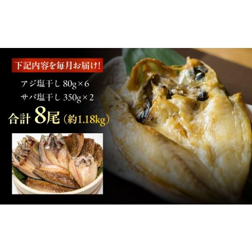 ふるさと納税 干物 アジ 長崎県 五島市  12回定期便 M 一夜干し 塩干し（アジ／サバ）計8尾 五島市／愛情食彩 PCH020 干物 ひもの 一夜干し アジ サバ おつま…の画像