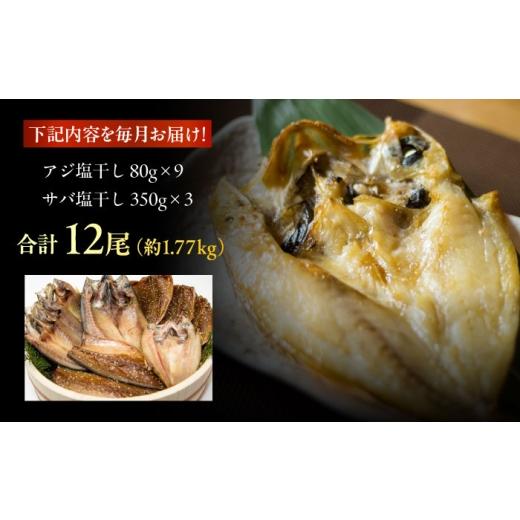 ふるさと納税 干物 アジ 長崎県 五島市  3回定期便 L 一夜干し 塩干し（アジ／サバ）計12尾 五島市／愛情食彩 PCH026 干物 手作り一夜干し 鯵 鯖 あじ さば 長…の画像
