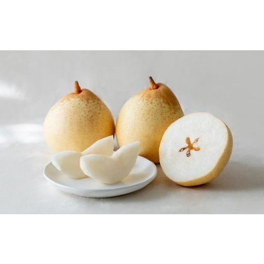 ふるさと納税 梨 岡山県 倉敷市 鴨梨（ヤーリー） 2玉 合計約1.5kg 贈答箱 なし 梨 ナシ 果物 フルーツ 果実 岡山県 倉敷市 2026年11月下旬〜12月下旬迄順次発…_1