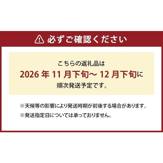 ふるさと納税 梨 岡山県 倉敷市 鴨梨（ヤーリー） 2玉 合計約1.5kg 贈答箱 なし 梨 ナシ 果物 フルーツ 果実 岡山県 倉敷市 2026年11月下旬〜12月下旬迄順次発…_2