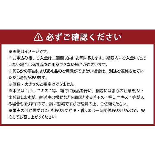 ふるさと納税 梨 岡山県 倉敷市 鴨梨（ヤーリー） 2玉 合計約1.5kg 贈答箱 なし 梨 ナシ 果物 フルーツ 果実 岡山県 倉敷市 2026年11月下旬〜12月下旬迄順次発…_3