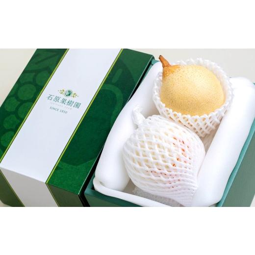 ふるさと納税 梨 岡山県 倉敷市 鴨梨（ヤーリー） 2玉 合計約1.5kg 贈答箱 なし 梨 ナシ 果物 フルーツ 果実 岡山県 倉敷市 2026年11月下旬〜12月下旬迄順次発…_5