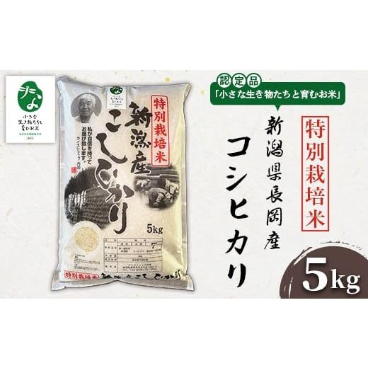 ふるさと納税 米 コシヒカリ 新潟県 長岡市 P1-01新潟県長岡産特別栽培米コシヒカリ 5kg 「小さな生き物たちと育むお米」認証品
