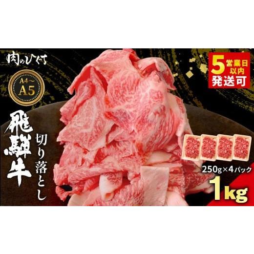 ふるさと納税 牛肉 炒め物 岐阜県 東白川村 最短発送 飛騨牛 切り落とし 1kg(250g×4P) A5 A4 国産 牛 黒毛和牛 和牛 牛肉 切落し 切り落し 薄切り 訳あり …