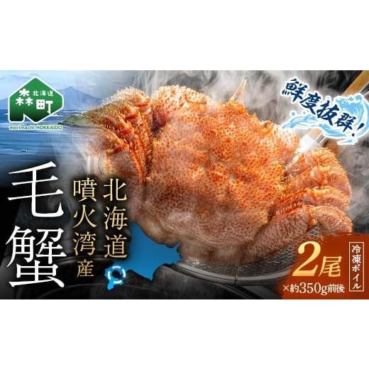 ふるさと納税 カニ 毛ガニ 北海道 森町 11月発送 訳あり 北海道・噴火湾産冷凍ボイル毛ガニ約350g前後×2尾 海鮮問屋 株式会社 瑞宝 かに カニ 蟹 ガニ が…