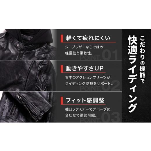 ふるさと納税 スポーツ・アウトドア 京都府 京都市 デグナー