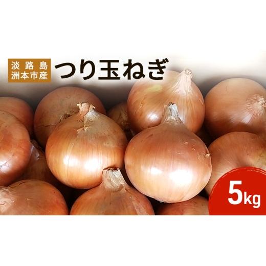 ふるさと納税 野菜類 玉ねぎ 兵庫県 洲本市 ふれあい市の会 つり玉ねぎ 5kg 淡路島 玉ねぎ タマネギ 野菜 旬の野菜 季節の野菜 兵庫県 洲本市 淡路島 No.5395-…の画像