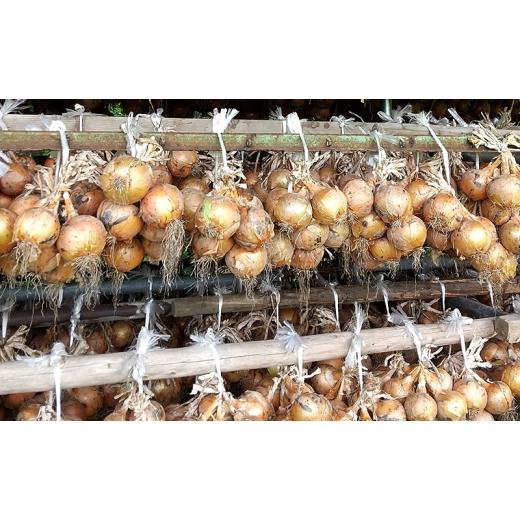ふるさと納税 野菜類 玉ねぎ 兵庫県 洲本市 ふれあい市の会 つり玉ねぎ 5kg 淡路島 玉ねぎ タマネギ 野菜 旬の野菜 季節の野菜 兵庫県 洲本市 淡路島 No.5395-…の画像