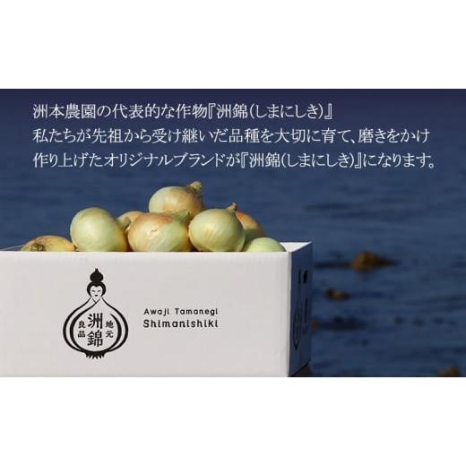 ふるさと納税 野菜類 玉ねぎ 兵庫県 洲本市 5kg オリジナルブランド 玉葱 洲錦 (しまにしき) 商標登録商品 玉ねぎ タマネギ 野菜 旬の野菜 季節の野菜 兵庫県 …の画像