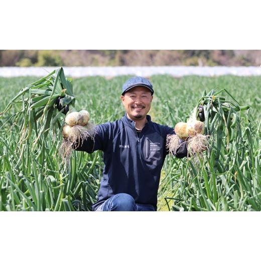 ふるさと納税 野菜類 玉ねぎ 兵庫県 洲本市 5kg オリジナルブランド 玉葱 洲錦 (しまにしき) 商標登録商品 玉ねぎ タマネギ 野菜 旬の野菜 季節の野菜 兵庫県 …の画像