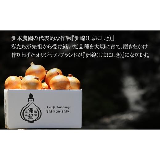 ふるさと納税 野菜類 玉ねぎ 兵庫県 洲本市 予約受付 3kg 新玉ねぎ オリジナルブランド 洲錦 (しまにしき) 商標登録商品 玉ねぎ タマネギ 野菜 旬の野菜 季節…の画像