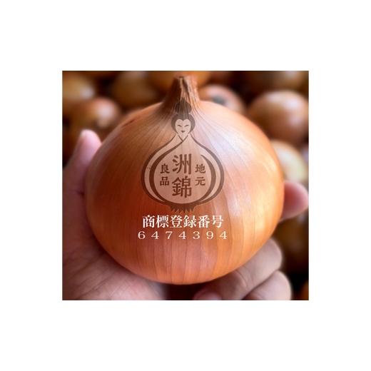 ふるさと納税 野菜類 玉ねぎ 兵庫県 洲本市 予約受付 3kg 新玉ねぎ オリジナルブランド 洲錦 (しまにしき) 商標登録商品 玉ねぎ タマネギ 野菜 旬の野菜 季節…の画像