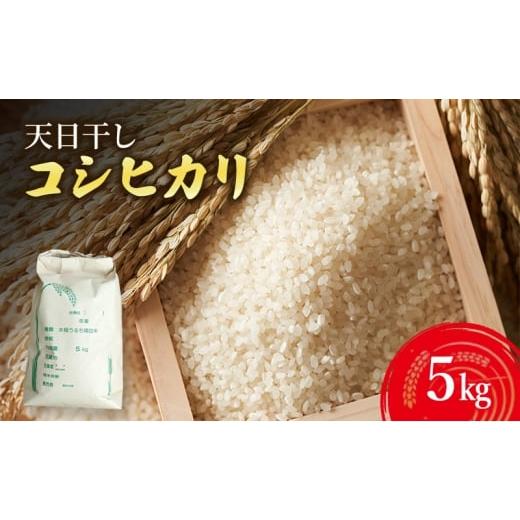 ふるさと納税 米 コシヒカリ 兵庫県 洲本市 天日干しコシヒカリ5kg 兵庫県 洲本市 淡路島  