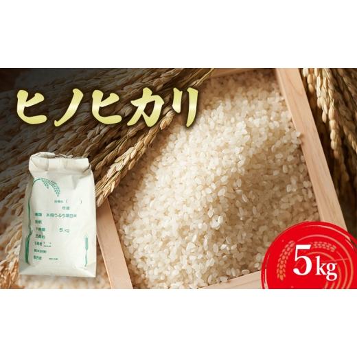 ふるさと納税 米 ヒノヒカリ 兵庫県 洲本市 ヒノヒカリ5kg 兵庫県 洲本市 淡路島  